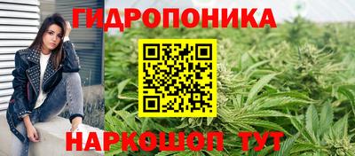 прущие грибы Можайск