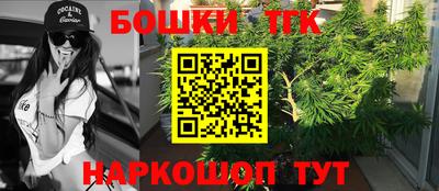 прущие грибы Можайск