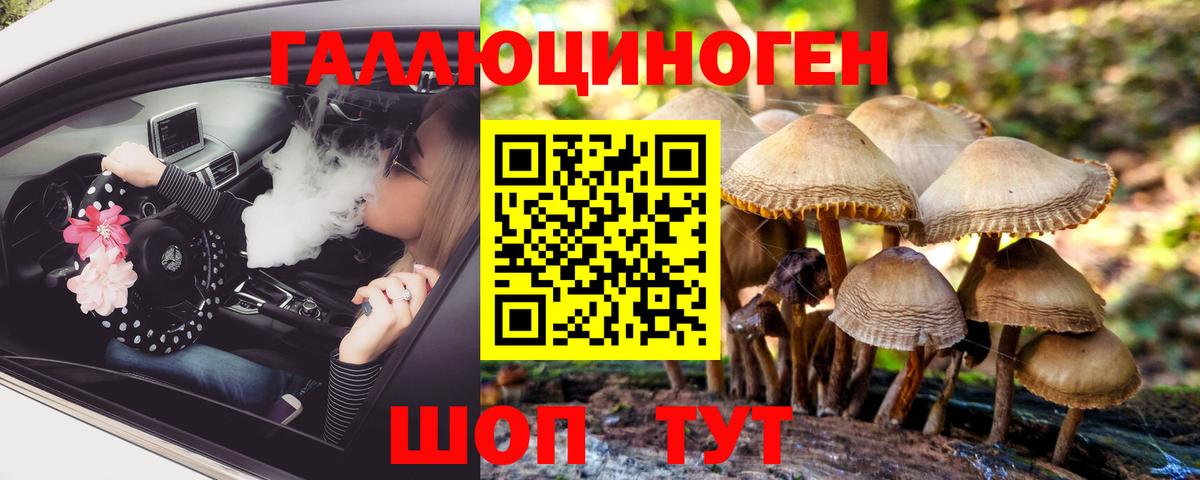 Галлюциногенные грибы GOLDEN TEACHER Тара