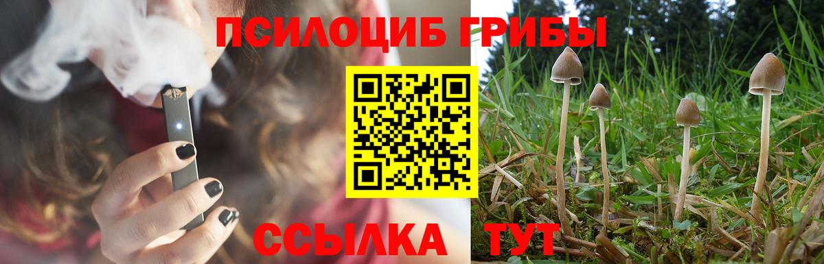 Тара  Псилоцибиновые грибы прущие грибы  Галлюциногенные грибы GOLDEN TEACHER  Вход с VPN 
